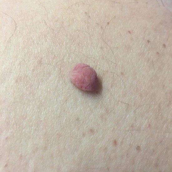 Afbeelding van whatsapp op 2025 06 26 om 2131498b96ea8b